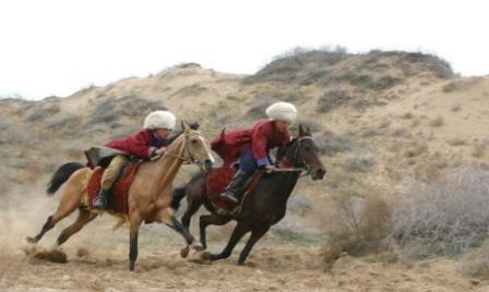 Los caballos Akhal-Teke se reproducen: ¡un exterior inusual!