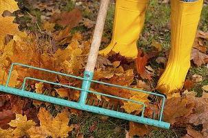 Los secretos de la jardinería: el trabajo de otoño en el jardín y el huerto